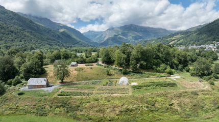 {{brizy_dc_image_alt imageSrc=