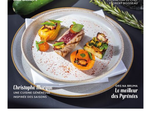 SOCHEF couverture